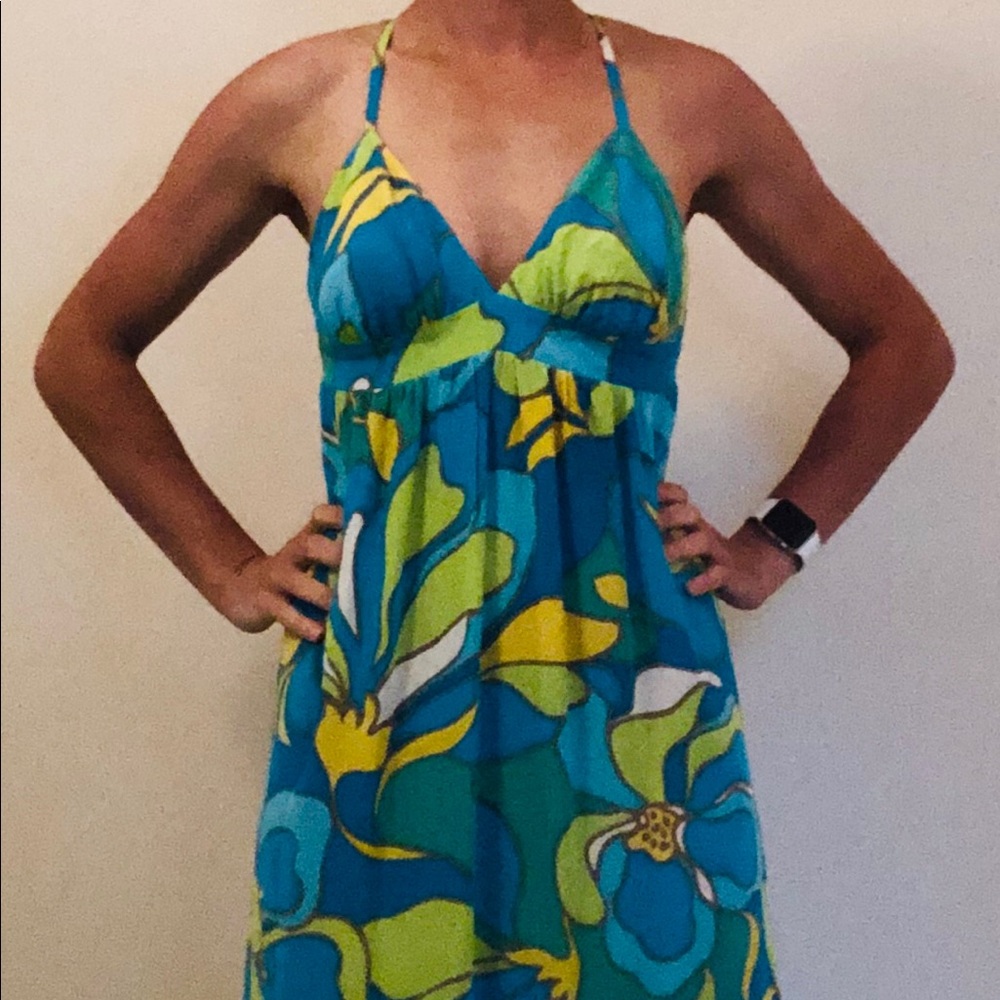 beautiful polyester Alice and Trixie maxi